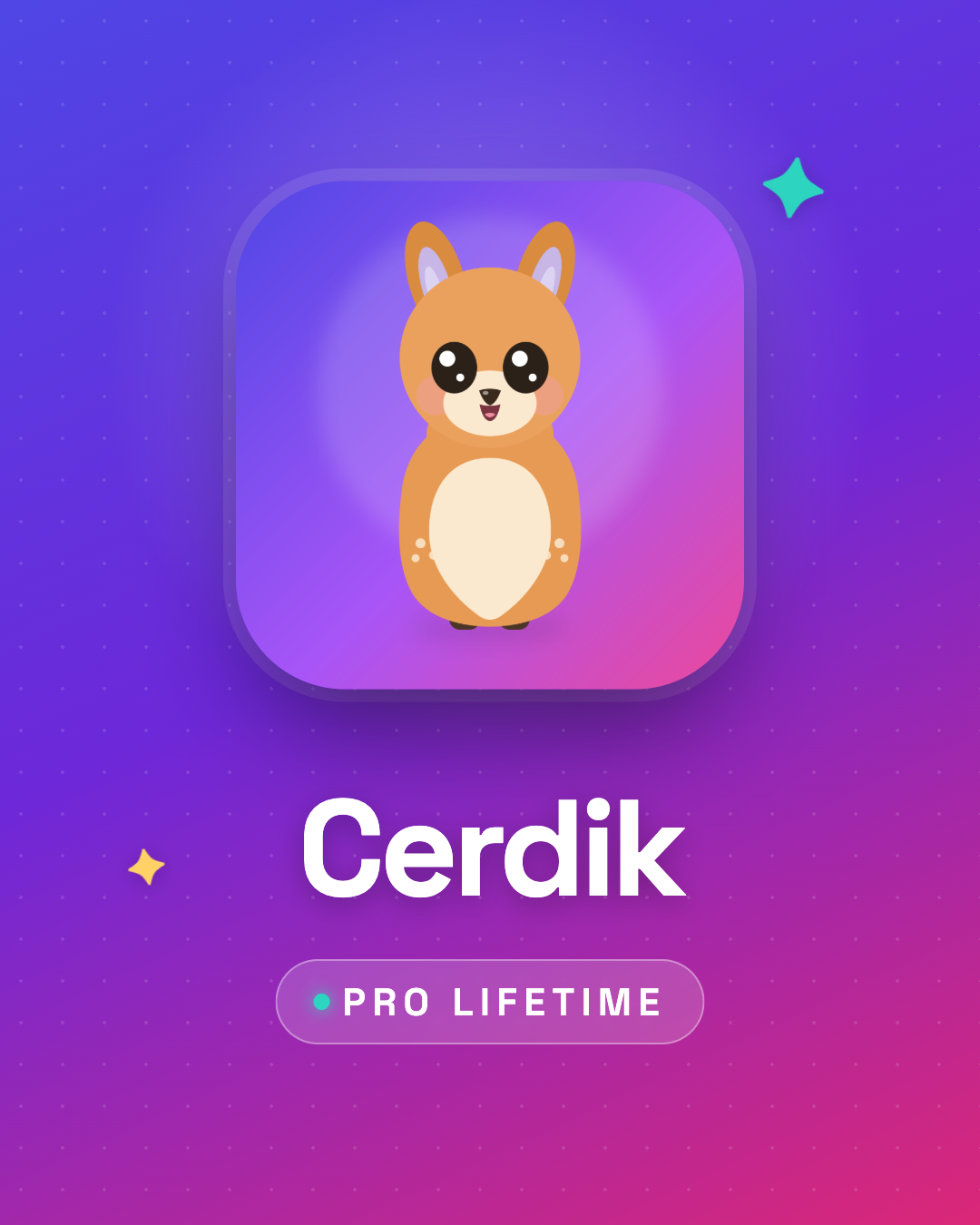 Cerdik Pro Lifetime
